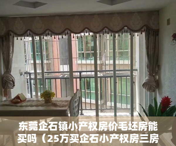 东莞企石镇小产权房价毛坯房能买吗（25万买企石小产权房三房，企石最便宜的小产权房「时代名城」值不值得入手）