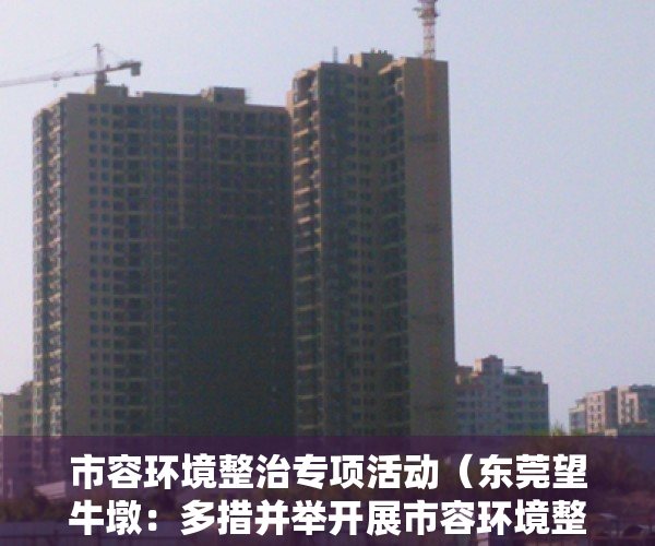 市容环境整治专项活动（东莞望牛墩：多措并举开展市容环境整治工作）