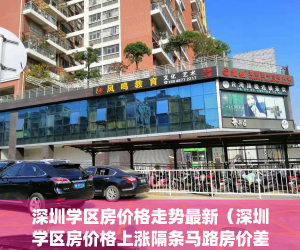 深圳学区房价格走势最新（深圳学区房价格上涨隔条马路房价差距大）(深圳学区房房价多少钱一平方)