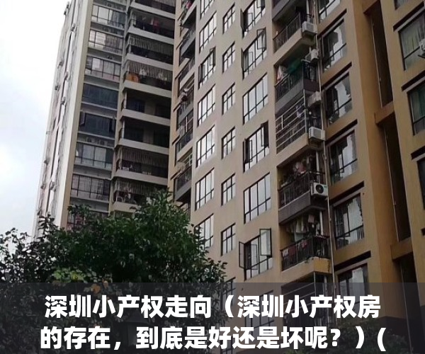 深圳小产权走向（深圳小产权房的存在，到底是好还是坏呢？）(深圳小产权2021年火了)