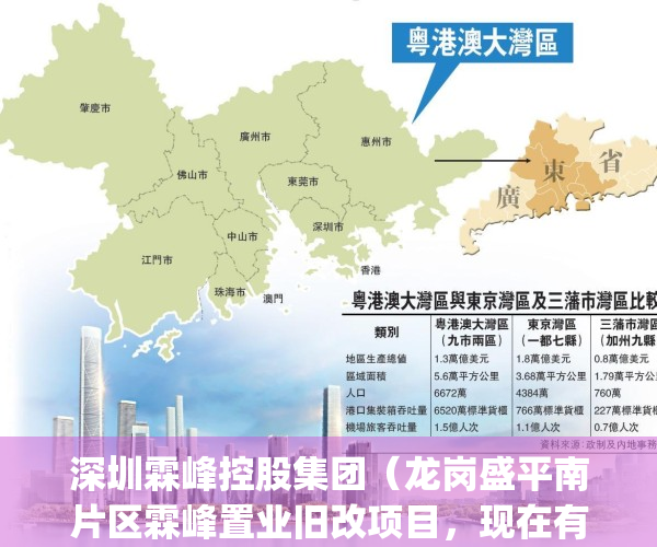深圳霖峰控股集团（龙岗盛平南片区霖峰置业旧改项目，现在有货）(霖峰集团在龙岗的旧改)