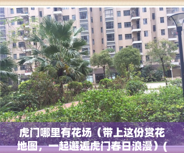 虎门哪里有花场（带上这份赏花地图，一起邂逅虎门春日浪漫）(虎门的花市场在哪里?)