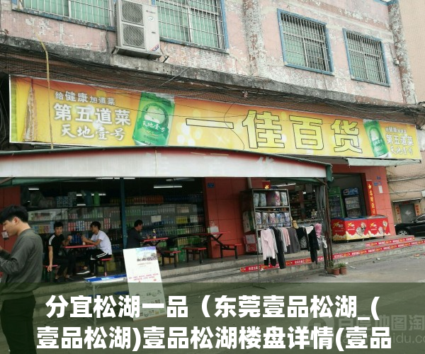 分宜松湖一品（东莞壹品松湖_(壹品松湖)壹品松湖楼盘详情(壹品松湖售楼处））