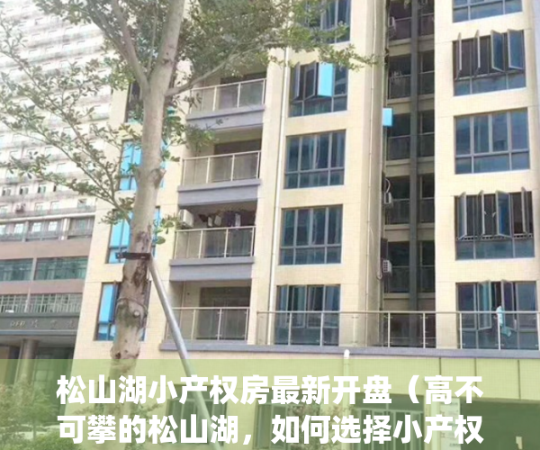 松山湖小产权房最新开盘（高不可攀的松山湖，如何选择小产权房？）(东莞松山湖小产权房值得买吗)