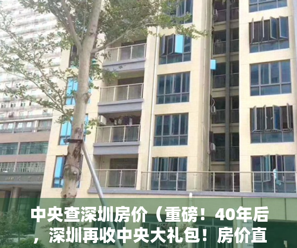 中央查深圳房价（重磅！40年后，深圳再收中央大礼包！房价直涨神话要打破？）