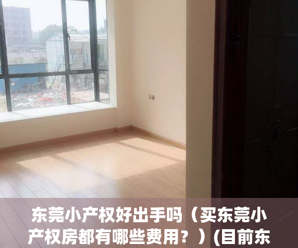 东莞小产权好出手吗（买东莞小产权房都有哪些费用？）(目前东莞小产权房多少钱?)