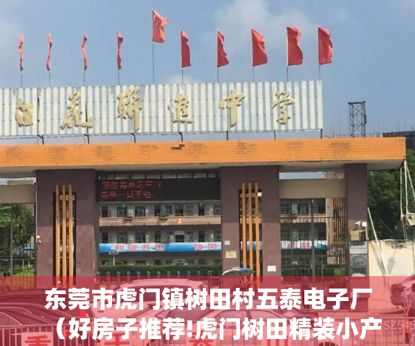 东莞市虎门镇树田村五泰电子厂（好房子推荐!虎门树田精装小产权房楼盘-村委统建楼）