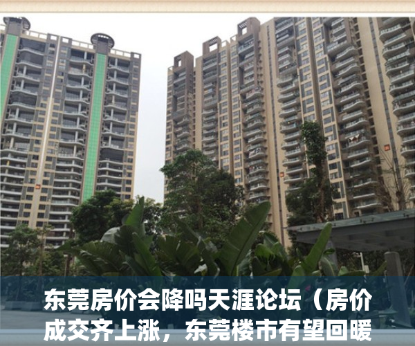 东莞房价会降吗天涯论坛（房价成交齐上涨，东莞楼市有望回暖吗？）(东莞房价会下降吗)