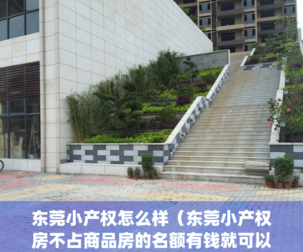 东莞小产权怎么样（东莞小产权房不占商品房的名额有钱就可以买！）(东莞小产权房最新政策出台)