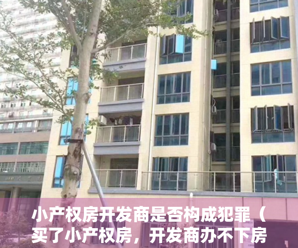 小产权房开发商是否构成犯罪（买了小产权房，开发商办不下房产证，应该怎么办？）