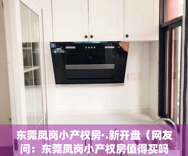 东莞凤岗小产权房·.新开盘（网友问：东莞凤岗小产权房值得买吗）(东莞凤岗小产权房价)
