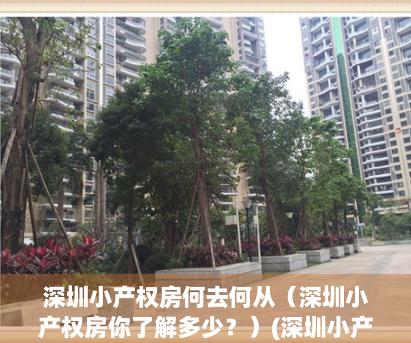 深圳小产权房何去何从（深圳小产权房你了解多少？）(深圳小产权房介绍)