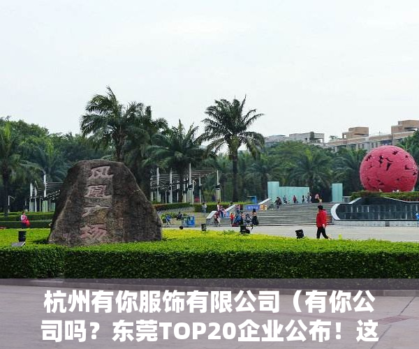 杭州有你服饰有限公司（有你公司吗？东莞TOP20企业公布！这些单位、镇街也上榜）