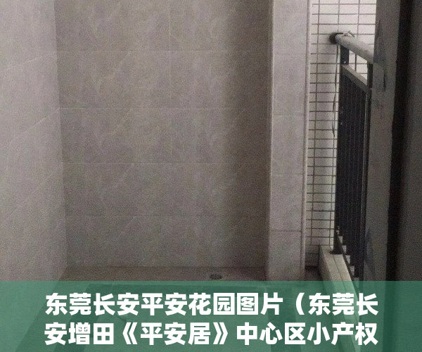 东莞长安平安花园图片（东莞长安增田《平安居》中心区小产权房 首付3成，均价4600元）