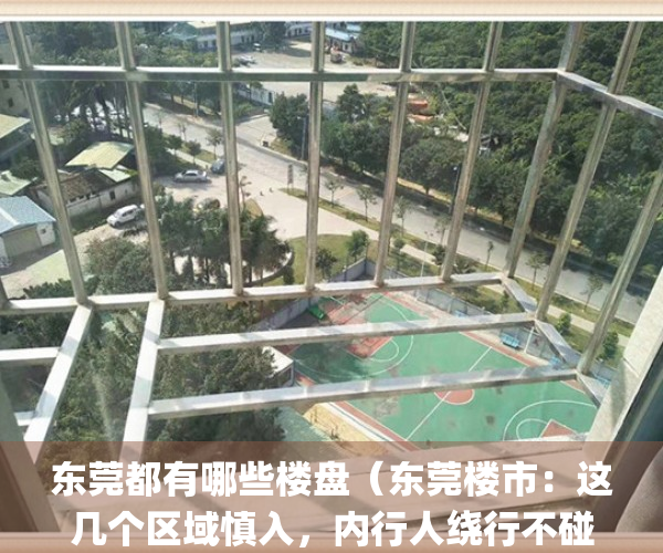 东莞都有哪些楼盘（东莞楼市：这几个区域慎入，内行人绕行不碰）(东莞十大楼盘排名)