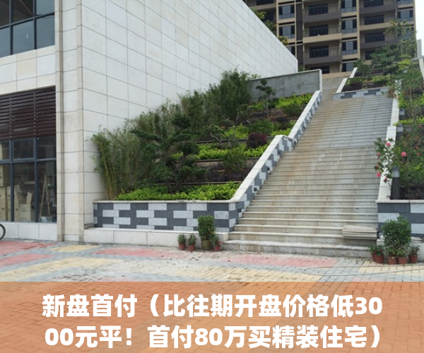新盘首付（比往期开盘价格低3000元平！首付80万买精装住宅）(新盘首付怎么算)