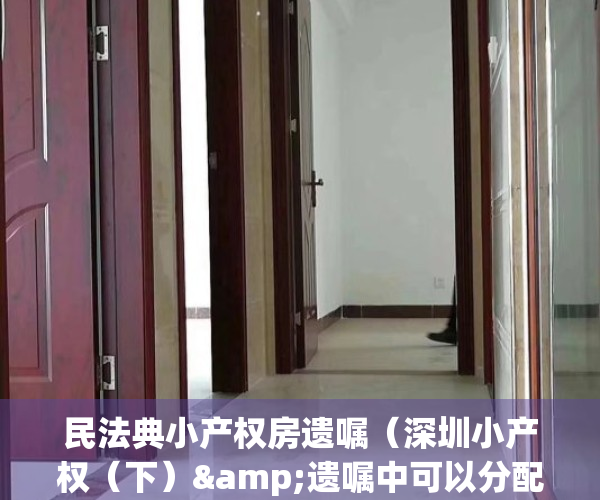 民法典小产权房遗嘱（深圳小产权（下）&遗嘱中可以分配小产权房吗？）(小产权遗嘱法院受理吗)