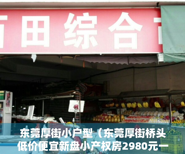 东莞厚街小户型（东莞厚街桥头低价便宜新盘小产权房2980元一平出售现房可分期 厚街新塘小学、厚街桥头小学、东莞市厚街镇新塘小学）