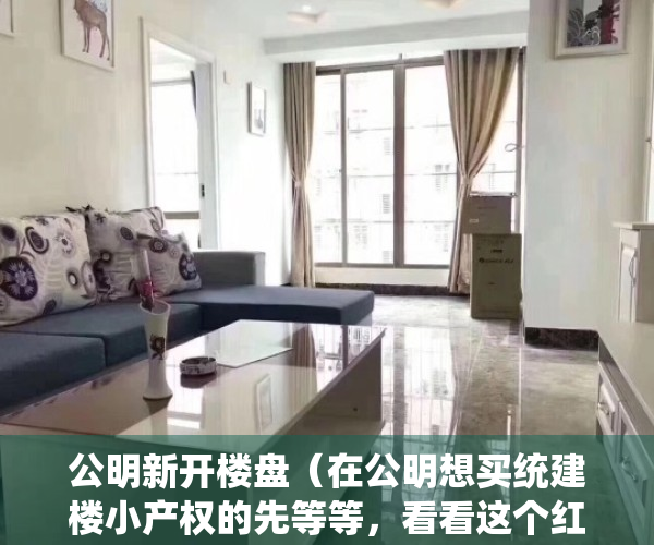 公明新开楼盘（在公明想买统建楼小产权的先等等，看看这个红本现房公寓不吃亏）