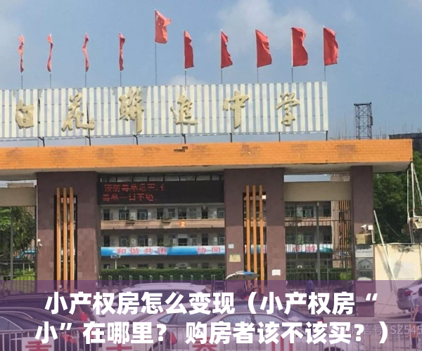 小产权房怎么变现（小产权房“小”在哪里？ 购房者该不该买？）