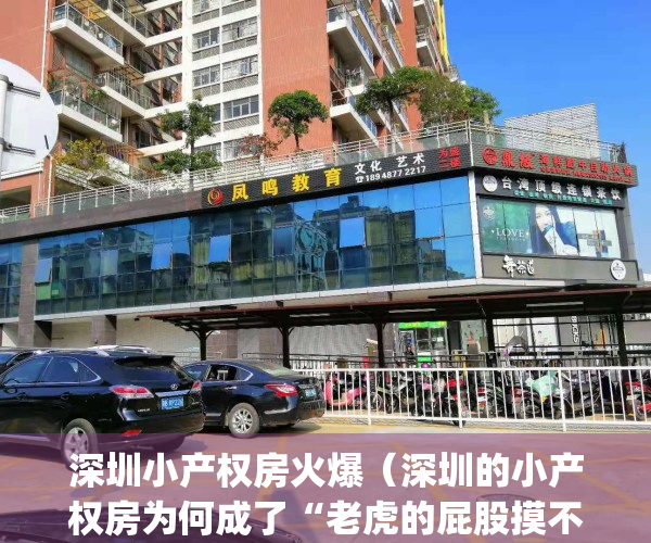 深圳小产权房火爆（深圳的小产权房为何成了“老虎的屁股摸不得”）(深圳小产权2021年火了)