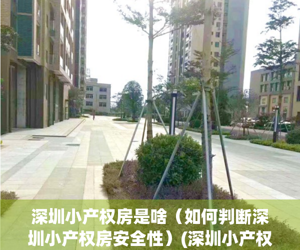 深圳小产权房是啥（如何判断深圳小产权房安全性）(深圳小产权房好不好)