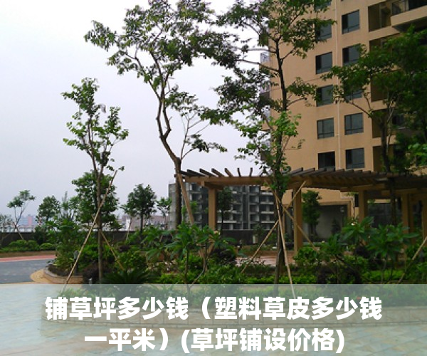 铺草坪多少钱（塑料草皮多少钱一平米）(草坪铺设价格)