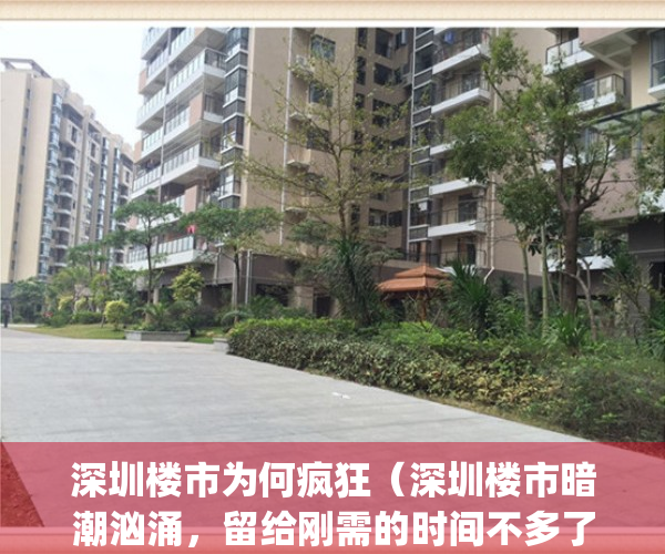 深圳楼市为何疯狂（深圳楼市暗潮汹涌，留给刚需的时间不多了！）(深圳楼市疯狂到超乎你的想象)