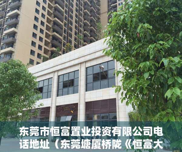 东莞市恒富置业投资有限公司电话地址（东莞塘厦桥陇《恒富大厦》小产权房一梯四户  四面采光4200元起）