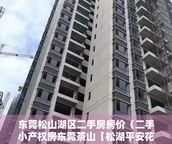 东莞松山湖区二手房房价（二手小产权房东莞茶山【松湖平安花园】【松湖平安花园】均价：5200元㎡位置怎么样）