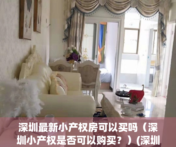 深圳最新小产权房可以买吗（深圳小产权是否可以购买？）(深圳小产权的房子可以买吗)