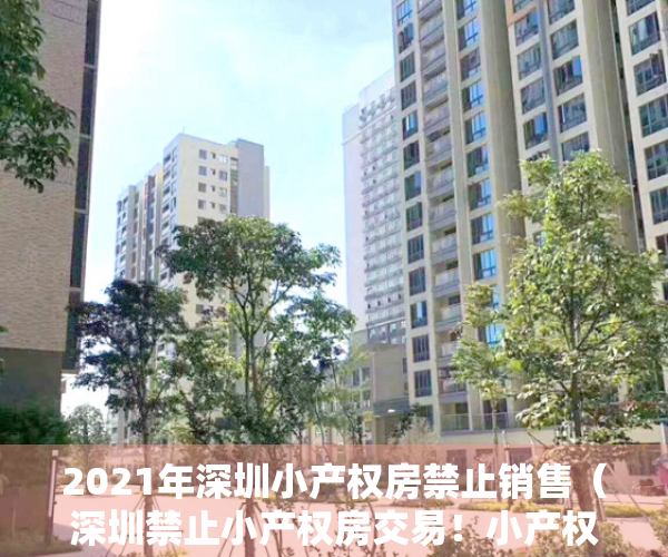 2021年深圳小产权房禁止销售（深圳禁止小产权房交易！小产权房市场为何如此火热？）