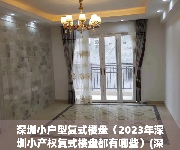 深圳小户型复式楼盘（2023年深圳小产权复式楼盘都有哪些）(深圳小型复式房)