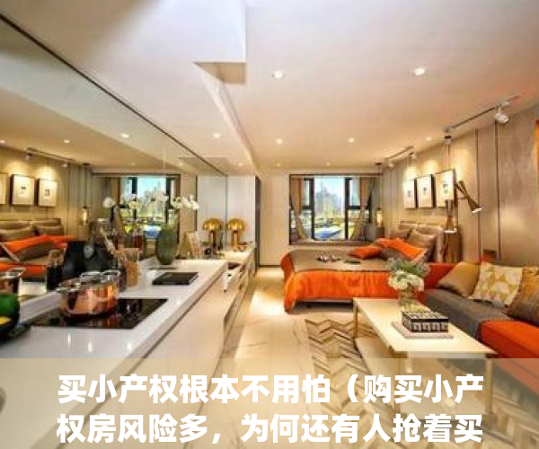 买小产权根本不用怕（购买小产权房风险多，为何还有人抢着买？）(买小产权有风险吗)