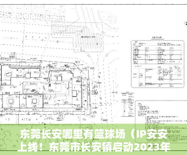 东莞长安哪里有篮球场（IP安安上线！东莞市长安镇启动2023年篮球文化微街区活动）