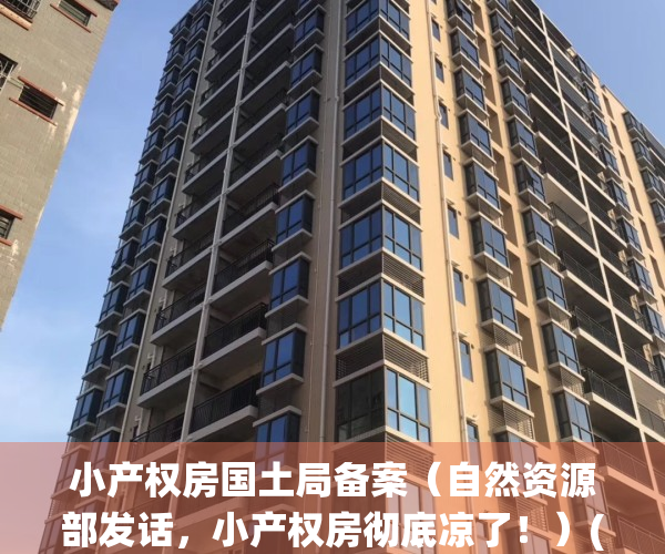 小产权房国土局备案（自然资源部发话，小产权房彻底凉了！）(小产权房备案管理系统)