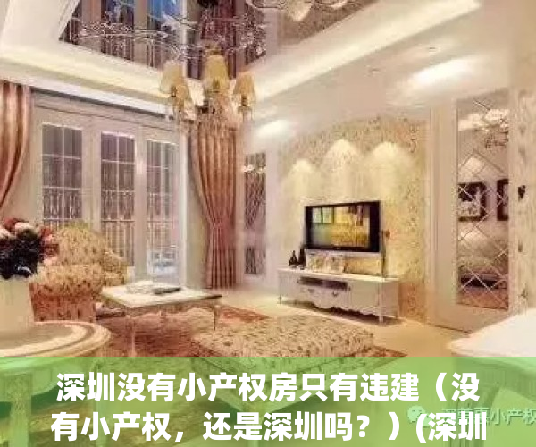 深圳没有小产权房只有违建（没有小产权，还是深圳吗？）(深圳有小产权房可以开无房证明吗)