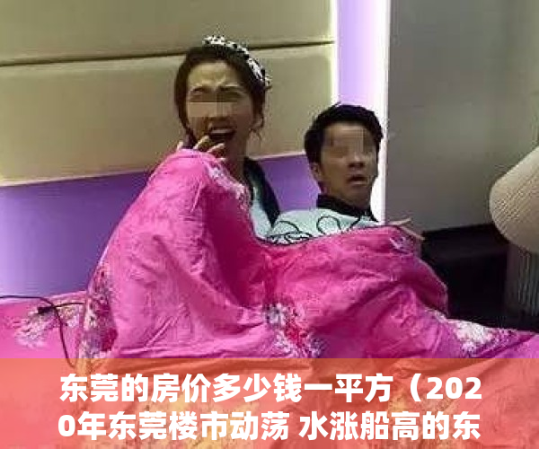 东莞的房价多少钱一平方（2020年东莞楼市动荡 水涨船高的东莞房价突然大跌 松山湖大朗的小产权市场）