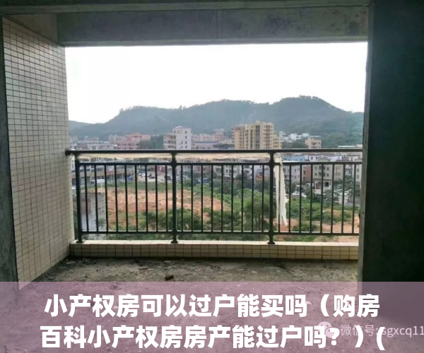 小产权房可以过户能买吗（购房百科小产权房房产能过户吗？）(请问小产权房能过户吗)