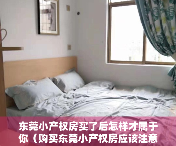 东莞小产权房买了后怎样才属于你（购买东莞小产权房应该注意哪些问题）