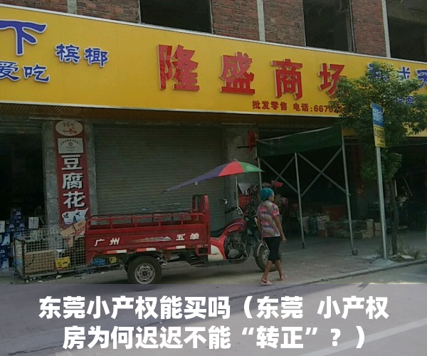 东莞小产权能买吗（东莞  小产权房为何迟迟不能“转正”？）