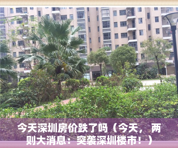 今天深圳房价跌了吗（今天， 两则大消息：突袭深圳楼市！）