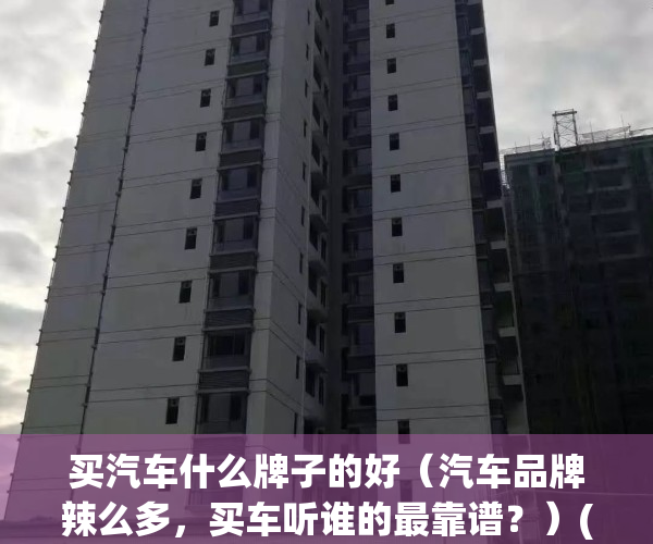 买汽车什么牌子的好（汽车品牌辣么多，买车听谁的最靠谱？）(买车哪个牌子的好)