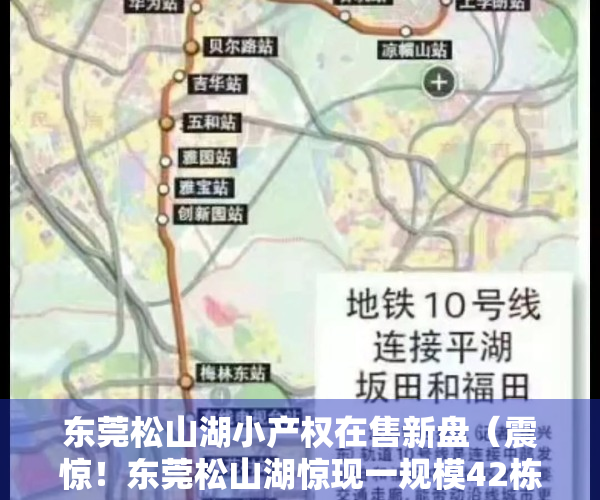 东莞松山湖小产权在售新盘（震惊！东莞松山湖惊现一规模42栋的小产权房，网友：大概要走半个小时才能出来）