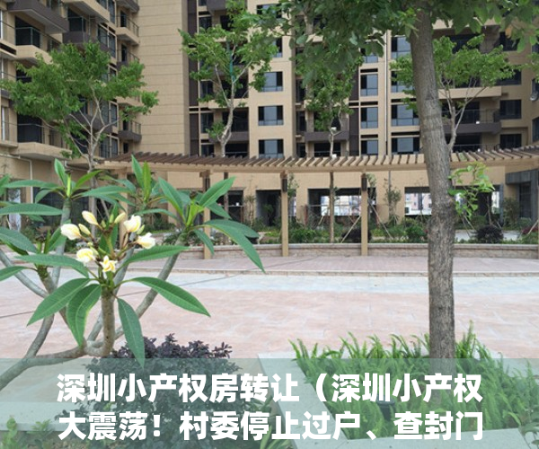 深圳小产权房转让（深圳小产权大震荡！村委停止过户、查封门店、严查律师）