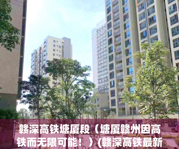 赣深高铁塘厦段（塘厦赣州因高铁而无限可能！）(赣深高铁最新消息2020塘厦站)