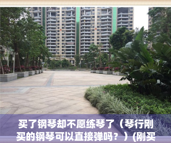 买了钢琴却不愿练琴了（琴行刚买的钢琴可以直接弹吗？）(刚买的钢琴能直接用吗)