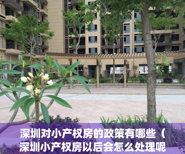 深圳对小产权房的政策有哪些（深圳小产权房以后会怎么处理呢？）(深圳关于小产权房问题的通知)