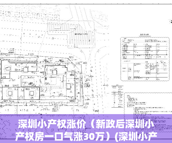 深圳小产权涨价（新政后深圳小产权房一口气涨30万）(深圳小产权房涨幅最高达50%)
