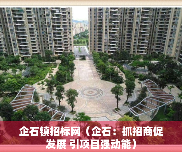 企石镇招标网（企石：抓招商促发展 引项目强动能）